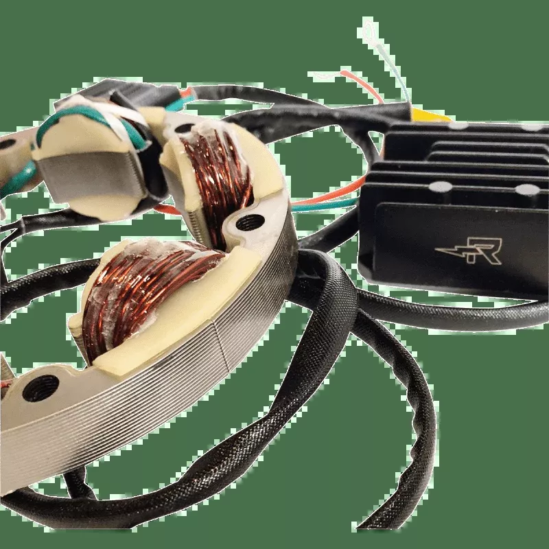 Rick's Motorsport Electric Charging Kit Lith-ION