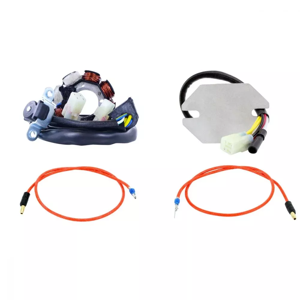 RMStator 40W AC to DC Lighting Stator Kit With Voltage Regulator RMS900-104238