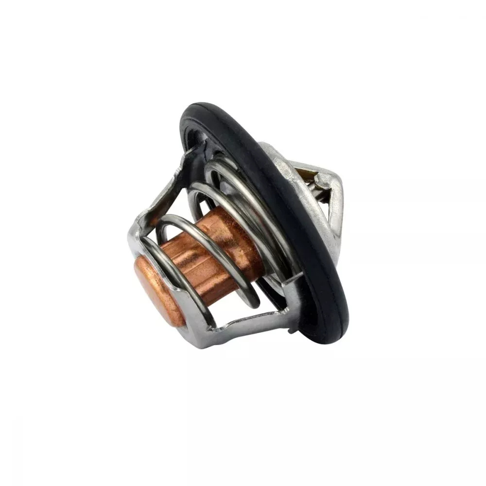 RMStator Thermostate RMS150-105801