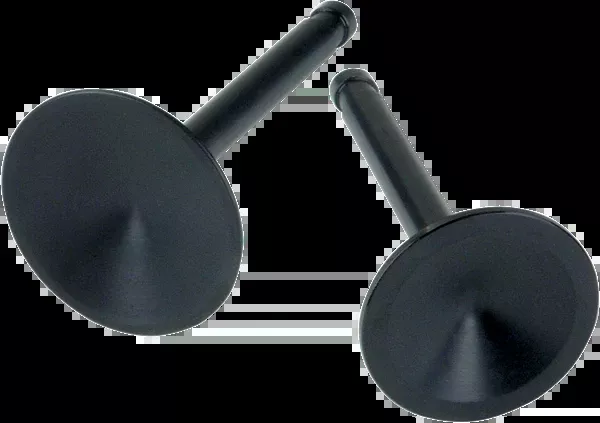S&S Cycle Replacement Valves