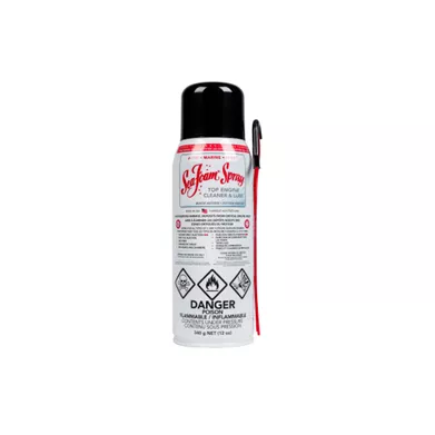 SEA FOAM CARB CLEANER