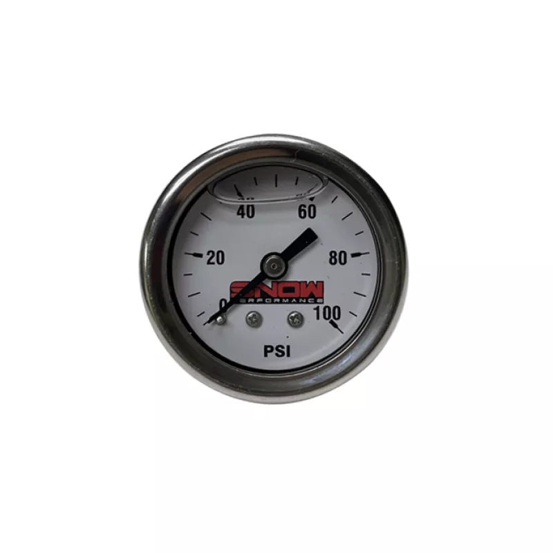 SNOW Gauges
