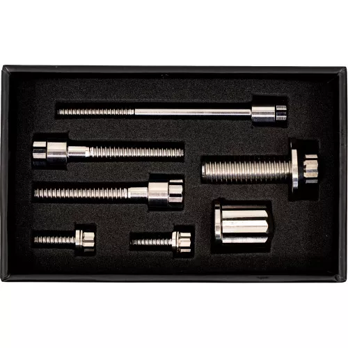 Trask Bitchin' Bolts M8 Coil & Horn 12-Point Bolt Kit
