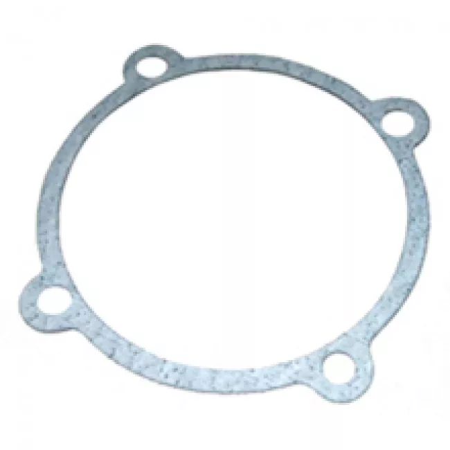 W/P GASKET